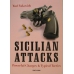 Yuri Yakovich " Siciian Attacks.Powerful charges & typical tactics" (K-3396)