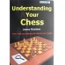 J.Rizzitiano " Zrozumieć swoje szachy "( K-650/yc )